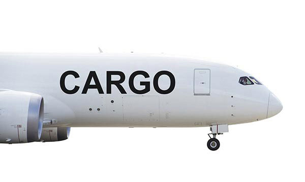 Overnight Cargo Company